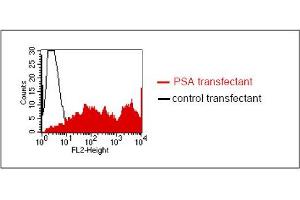 FACS analysis of BOSC23 cells using LT-3D2. (Prostate Specific Antigen 抗体)