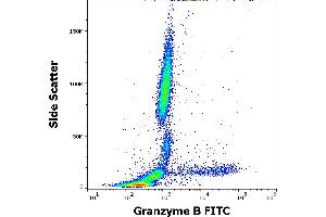 Flow cytometry intracellular staining pattern of human peripheral whole blood stained using anti-human Granzyme B (CLB-GB11) FITC antibody (4 μL reagent / 100 μL of peripheral whole blood). (GZMB 抗体  (FITC))