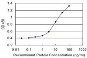 Detection limit for recombinant GST tagged AIFM2 is 0. (AIFM2 抗体  (AA 188-287))