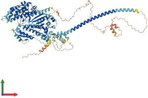 Protein Structure (PS) image for Myosin XIX (MYO19) (AA 1-963) protein (His tag) (ABIN7563842)