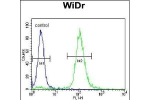 Flow Cytometry (FACS) image for anti-Neurotrophic Tyrosine Kinase, Receptor, Type 1 (NTRK1) antibody (ABIN652382)