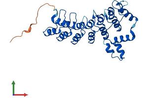 Protein Structure (PS) image for Ankyrin Repeat and SOCS Box Containing 13 (ASB13) (AA 1-278) protein (His tag) (ABIN7552345)