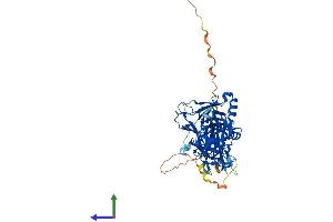 Protein Structure (PS) image for Recombination Signal Binding Protein For Immunoglobulin kappa J Region (RBPJ) (AA 1-500) protein (His tag) (ABIN7555640)