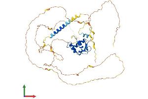Protein Structure (PS) image for Ets Variant 5 (ETV5) (AA 1-510) protein (His tag) (ABIN7547460)