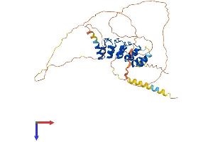 Protein Structure (PS) image for Ankyrin Repeat Domain 10 (ANKRD10) (AA 1-420) protein (His tag) (ABIN7552283)