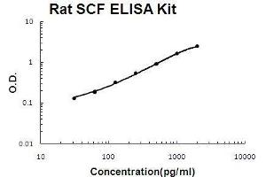 Rat SCF PicoKine ELISA Kit Standard Curve (KIT Ligand ELISA 试剂盒)
