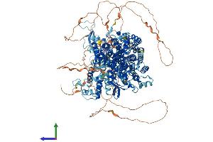 Protein Structure (PS) image for Son of Sevenless Homolog 1 (SOS1) (AA 1-1333) protein (His tag) (ABIN7555532)