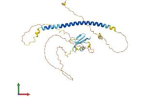 Protein Structure (PS) image for Geminin Coiled-Coil Domain Containing (GMNC) (AA 1-333) protein (His tag) (ABIN7557271)