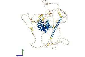 Epsin 2 Protein (EPN2) (AA 1-641) (His tag)