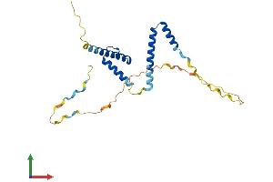 Protein Structure (PS) image for Hairy and Enhancer of Split 7 (HES7) (AA 1-225) protein (His tag) (ABIN7548283)