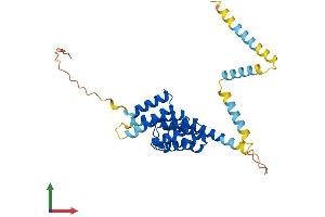 Protein Structure (PS) image for Peroxisomal Biogenesis Factor 26 (PEX26) (AA 1-305) protein (His tag) (ABIN7550655)