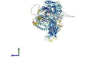 Protein Structure (PS) image for Nephronophthisis 4 (NPHP4) (AA 1-1425) protein (His tag) (ABIN7563477)