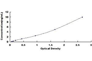 Typical standard curve (C1QTNF3 ELISA 试剂盒)