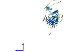 Protein Structure (PS) image for Tripartite Motif Containing 16 (TRIM16) (AA 1-556) protein (His tag) (ABIN7560467)