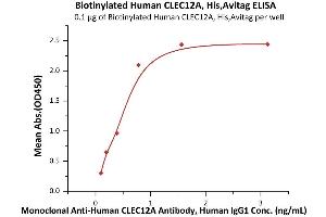 ELISA image for C-Type Lectin Domain Family 12, Member A (CLEC12A) (AA 65-265) (Active) protein (AVI tag,His tag,Biotin) (ABIN6973031)