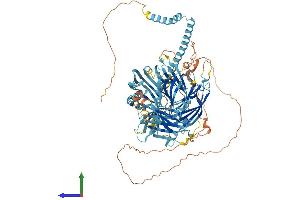 Protein Structure (PS) image for Extended Synaptotagmin-Like Protein 3 (ESYT3) (AA 1-891) protein (His tag) (ABIN7563801)