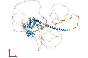 Protein Structure (PS) image for Mitogen-Activated Protein Kinase Kinase Kinase 11 (MAP3K11) (AA 1-847) protein (His tag) (ABIN7554446)