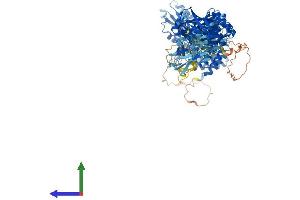Protein Structure (PS) image for Trafficking Protein Particle Complex 9 (TRAPPC9) (AA 1-1148) protein (His tag) (ABIN7563690)