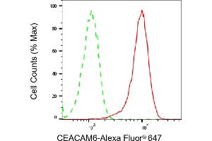anti-Carcinoembryonic Antigen-Related Cell Adhesion Molecule 6 (CEACAM6) antibody