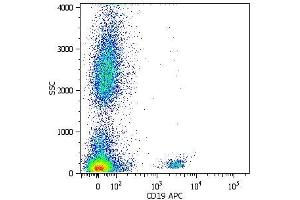 Surface staining of human peripheral blood cells with anti-human CD19 (LT19) APC. (CD19 抗体  (FITC))