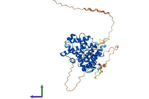 AlphaFold protein structure predicition of Human Recombinant ESRRA Protein, UniprotID P11474