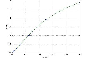 Osteocrin (OSTN) ELISA Kit