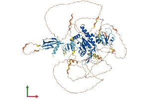 AlphaFold protein structure predicition of Mouse Recombinant Ctdp1 Protein, UniprotID Q7TSG2