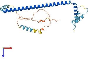CLTA Protein (AA 1-235) (His tag)