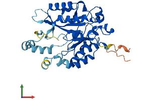 AlphaFold protein structure predicition of Human Recombinant PLCXD3 Protein, UniprotID Q63HM9
