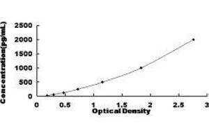 Fibroblast Growth Factor 4 (FGF4) ELISA Kit