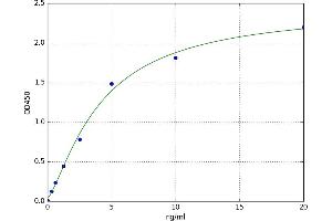 A typical standard curve
