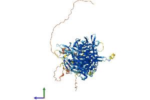 Protein Structure (PS) image for Mediator Complex Subunit 16 (MED16) (AA 1-877) protein (His tag) (ABIN7554546)