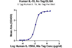 Immobilized Human IL-15 at 1 μg/mL (100 μL/Well) on the plate. (IL-15 蛋白)