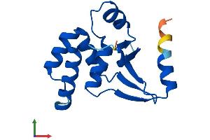 Protein Structure (PS) image for Zinc Finger, SWIM-Type Containing 7 (ZSWIM7) (AA 1-140) protein (His tag) (ABIN7545776)