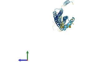 Protein Structure (PS) image for Syntaxin 11 (STX11) (AA 1-287) protein (His tag) (ABIN7560948)