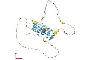 AlphaFold protein structure predicition of Mouse Recombinant Ankrd63 Protein, UniprotID A2ARS0