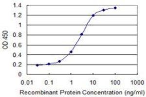 Detection limit for recombinant GST tagged FZR1 is 0. (FZR1 抗体  (AA 1-101))