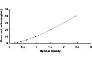 Typical standard curve (ADRA2C ELISA 试剂盒)