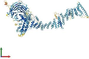 Protein Structure (PS) image for Nucleoporin 160kDa (NUP160) (AA 1-1402) protein (His tag) (ABIN7565261)