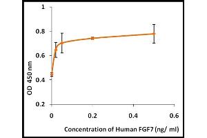 Activity Assay (AcA) image for Fibroblast Growth Factor 7 (FGF7) (Active) protein (ABIN5509361) (FGF7 蛋白)