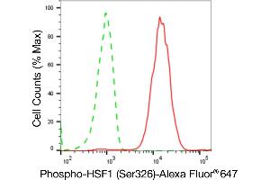 Flow cytometric analysis of Phospho-HSF1 (Ser326) expression in HepG2 cells using Phospho-HSF1 (Ser326) antibody (ABIN7798865), 1:2,000).