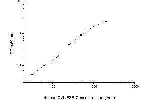 Typical standard curve (Ezrin ELISA 试剂盒)