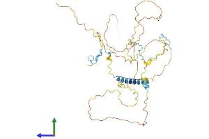AlphaFold protein structure predicition of Mouse Recombinant Habp4 Protein, UniprotID Q9JKS5
