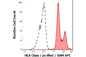 Separation of human leukocytes stained using anti-HLA Class I (MEM-81) purified antibody (concentration in sample 1 μg/mL, GAM APC, red-filled) from human leukocytes unstained by primary antibody (GAM APC, black-dashed) in flow cytometry analysis (surface staining). (MICA 抗体)