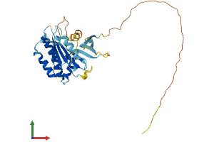 Protein Structure (PS) image for SWIM-Type Zinc Finger 7 Associated Protein 1 (SWSAP1) (AA 1-278) protein (His tag) (ABIN7559820)