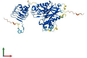 Protein Structure (PS) image for CCR4-NOT Transcription Complex, Subunit 6 (CNOT6) (AA 1-557) protein (His tag) (ABIN7553514)