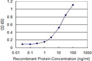 Detection limit for recombinant GST tagged UGCG is 0. (UGCG 抗体  (AA 33-131))