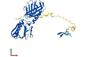 Protein Structure (PS) image for Bardet-Biedl Syndrome 5 (BBS5) (AA 1-341) protein (His tag) (ABIN7552696)