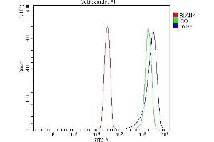 Flow Cytometry analysis of SiHa cells using anti-Dysferlin/DYSF antibody (ABIN7601939). (Dysferlin 抗体  (AA 51-747))