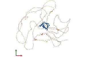 AlphaFold protein structure predicition of Human Recombinant ELF4 Protein, UniprotID Q99607 (Elf4 Protein (AA 1-663) (His tag))